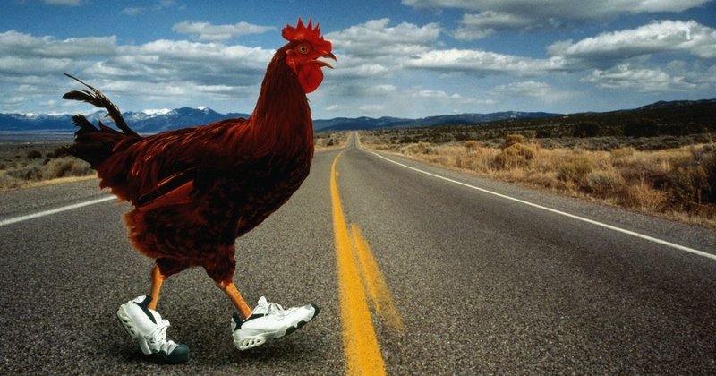 Chicken road game in Spain
